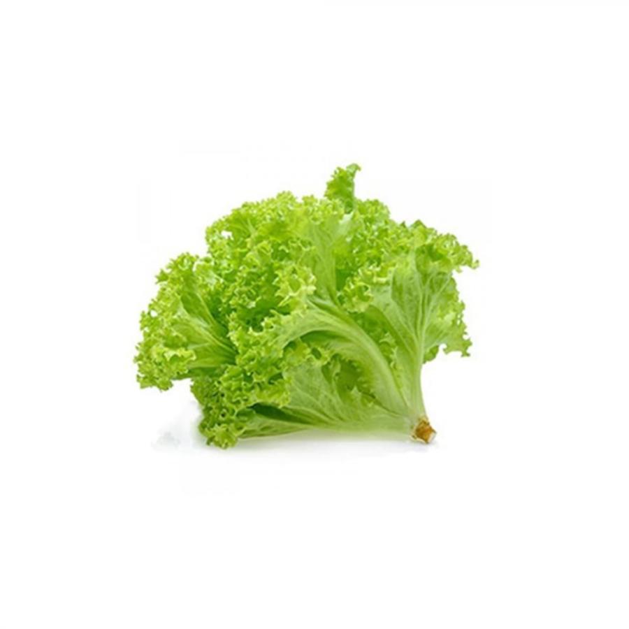 blogImage